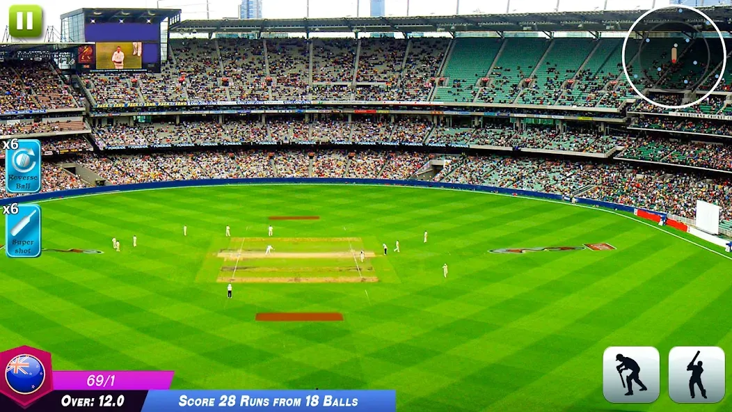 Скачать взлом World Cricket Games Offline  [МОД Бесконечные монеты] — стабильная версия apk на Андроид screen 3